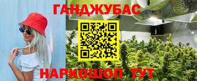 тгк Будённовск