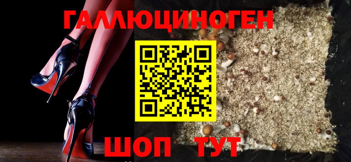Пушкино  Псилоцибиновые грибы Psilocybine cubensis  купить наркотик  Вход с VPN 