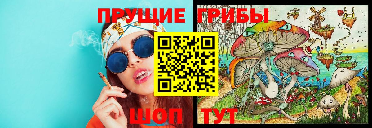 Галлюциногенные грибы Cubensis Пушкино